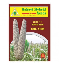 PearlMillet / Bajra Lali-7109 1.5 Kg